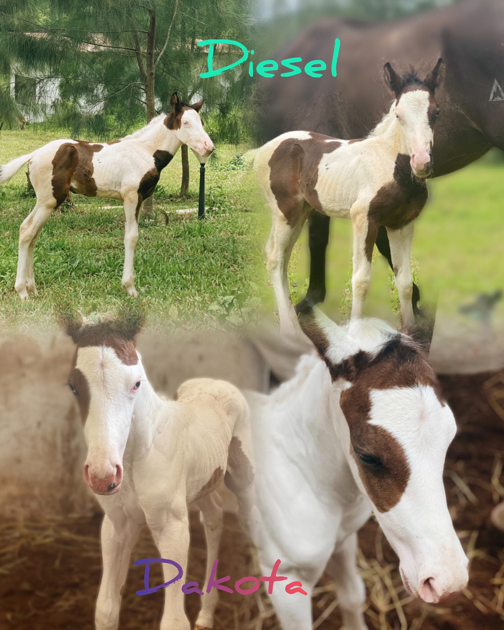 ລັດຕະນາ ສຸວັນ