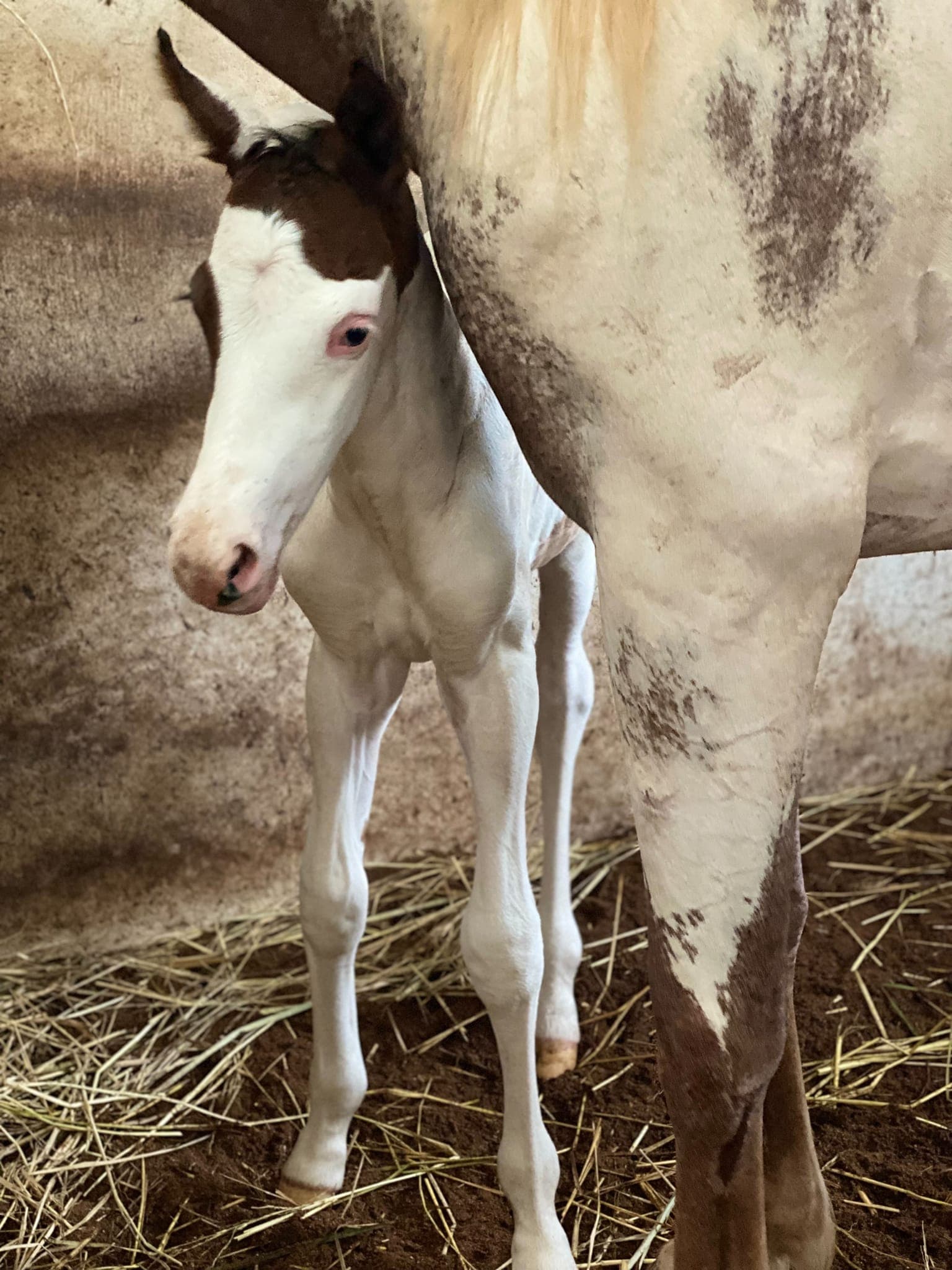 ລັດຕະນາ ສຸວັນ 2