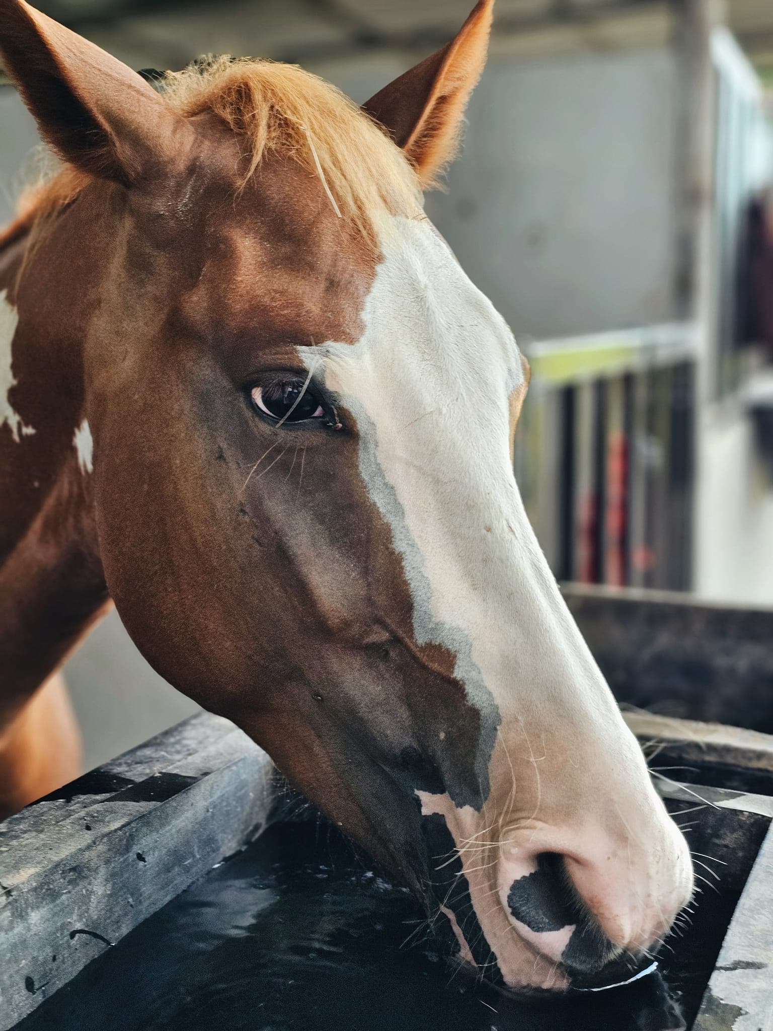 ຈິນຕະນາ ພົມມະສັກ 2