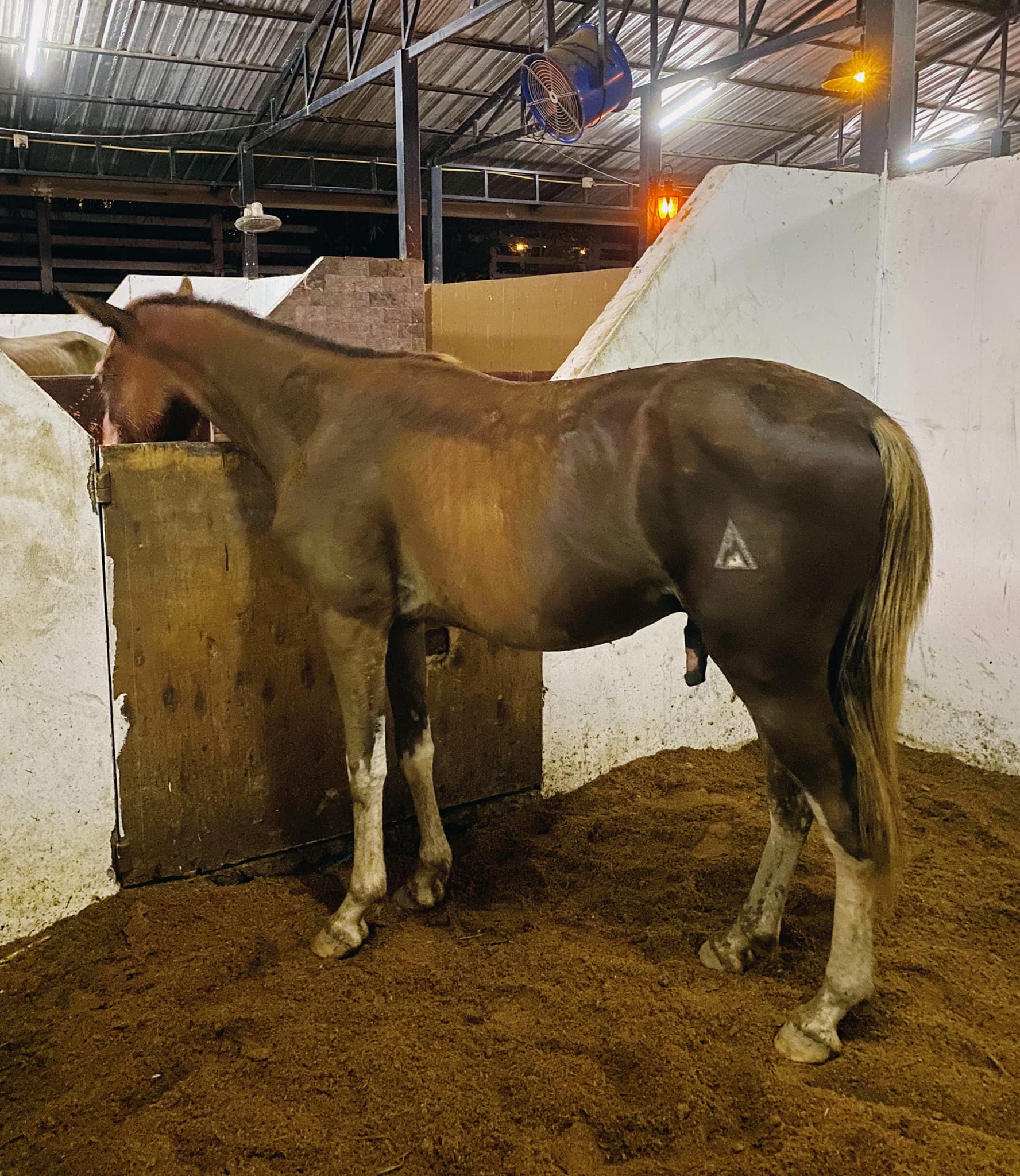 ສົມໄຊ ວົງຄຳ