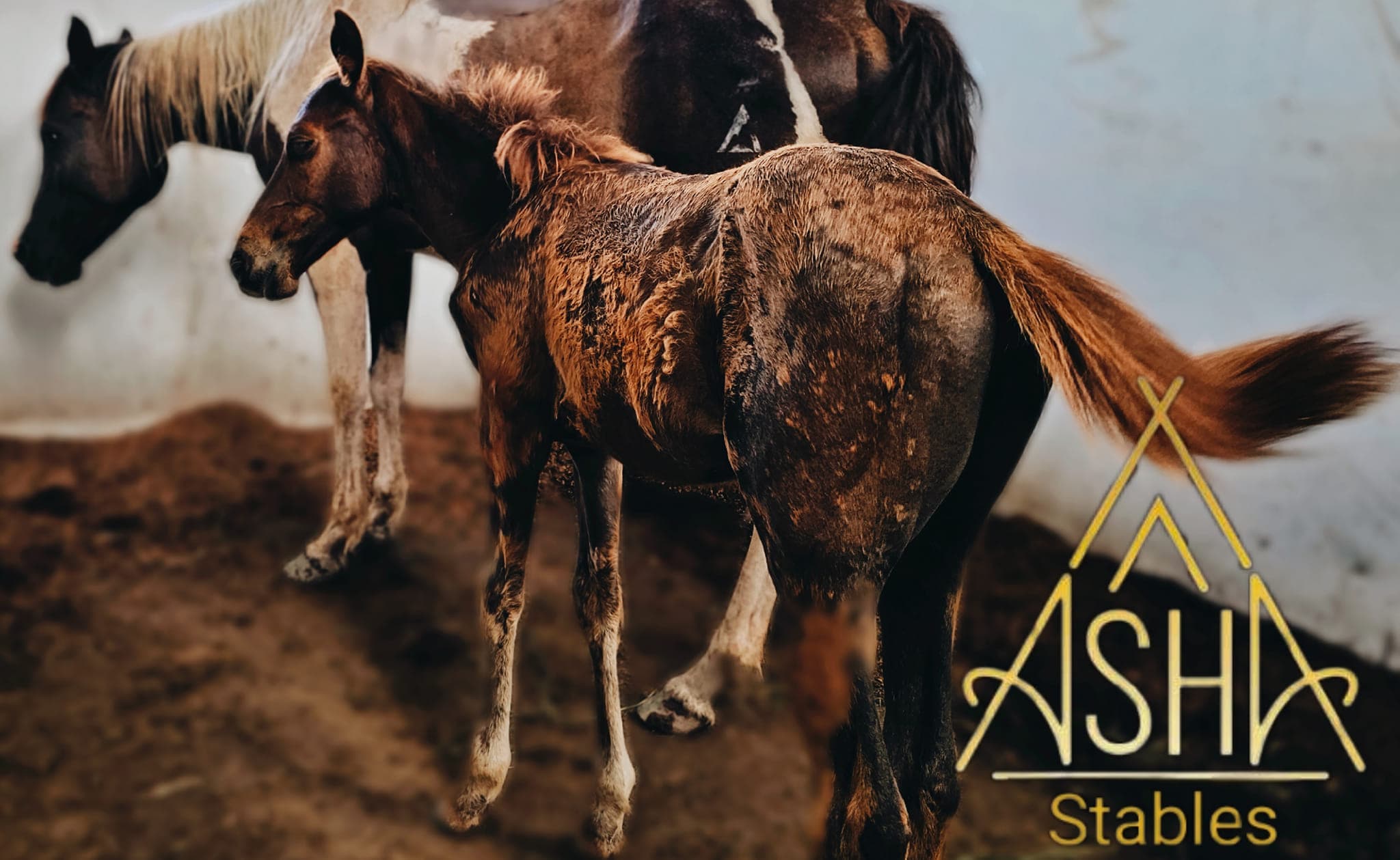 ບຸນທອງ ດວງມາລາ