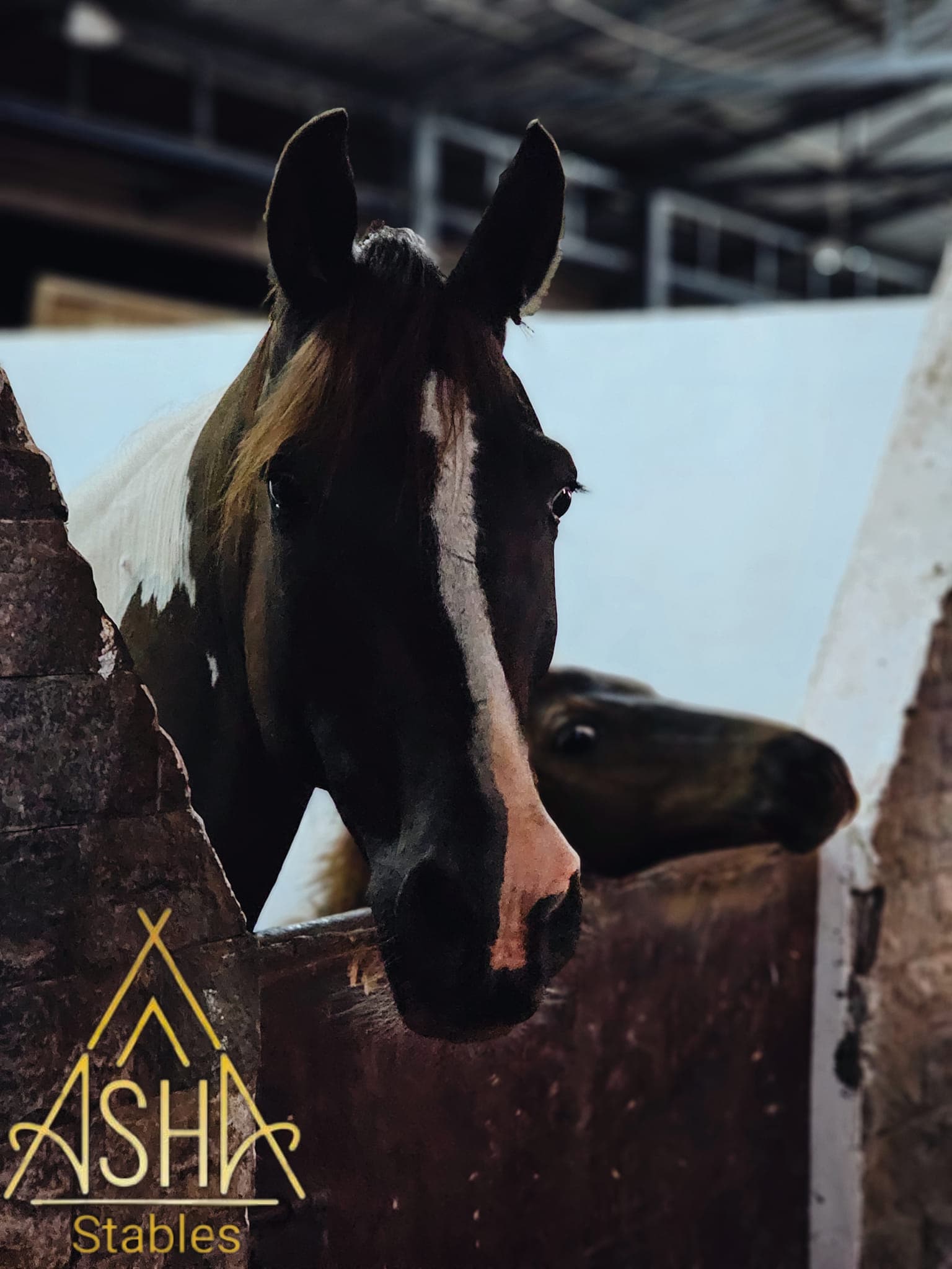 ວິຊິດ ເລີດປັນຍາ