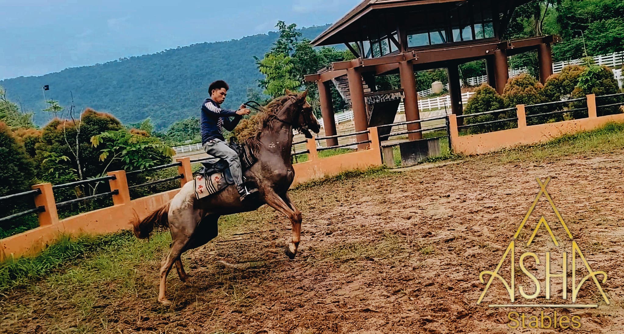 ໂອລິເວີ ເດເວນພໍດ